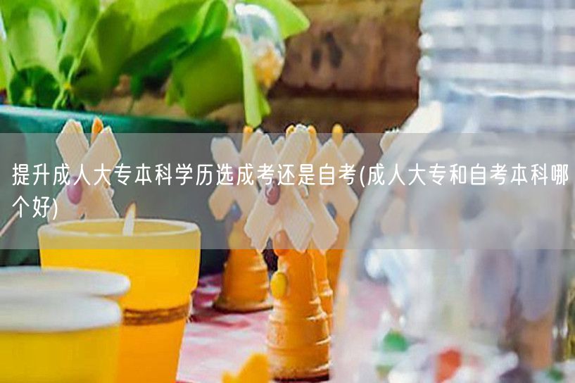 提升成人大专本科学历选成考还是自考(成人