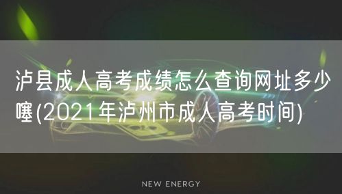 泸县成人高考成绩怎么查询网址多少噻(20