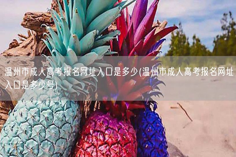 温州市成人高考报名网址入口是多少(温州市