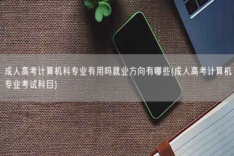 成人高考计算机科专业有用吗就业方向有哪些