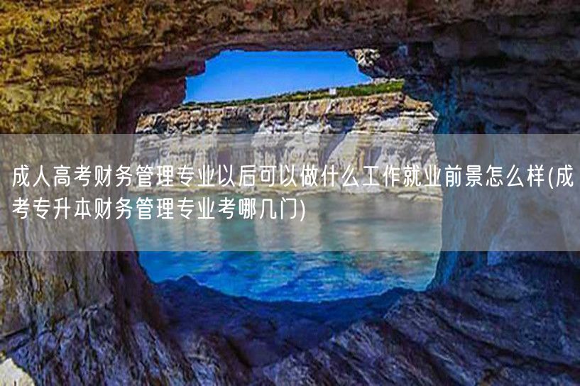 成人高考财务管理专业以后可以做什么工作就