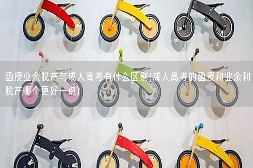 函授业余脱产与成人高考有什么区别(成人高