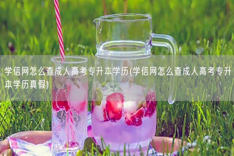 学信网怎么查成人高考专升本学历(学信网怎