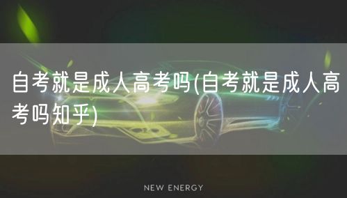 自考就是成人高考吗(自考就是成人高考吗知