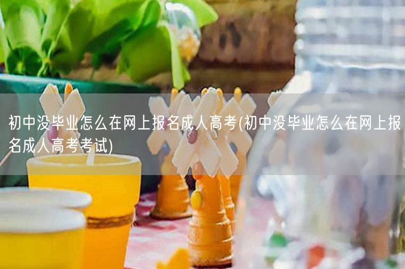 初中没毕业怎么在网上报名成人高考(初中没