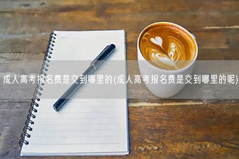 成人高考报名费是交到哪里的(成人高考报名