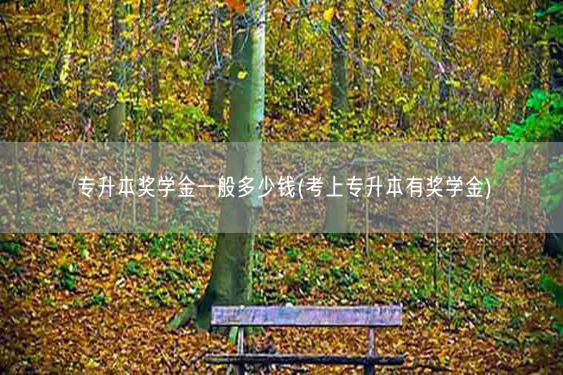 专升本奖学金一般多少钱(考上专升本有奖学
