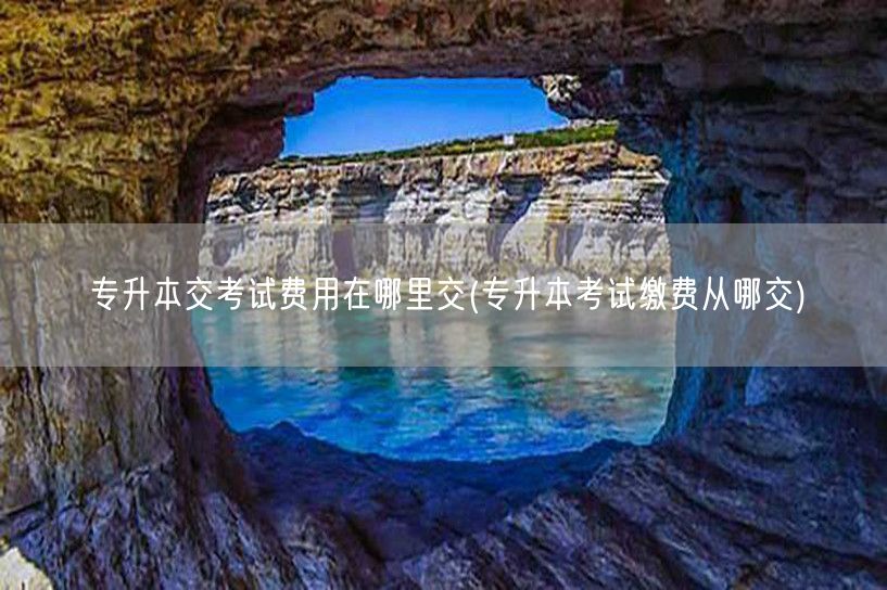 专升本交考试费用在哪里交(专升本考试缴费