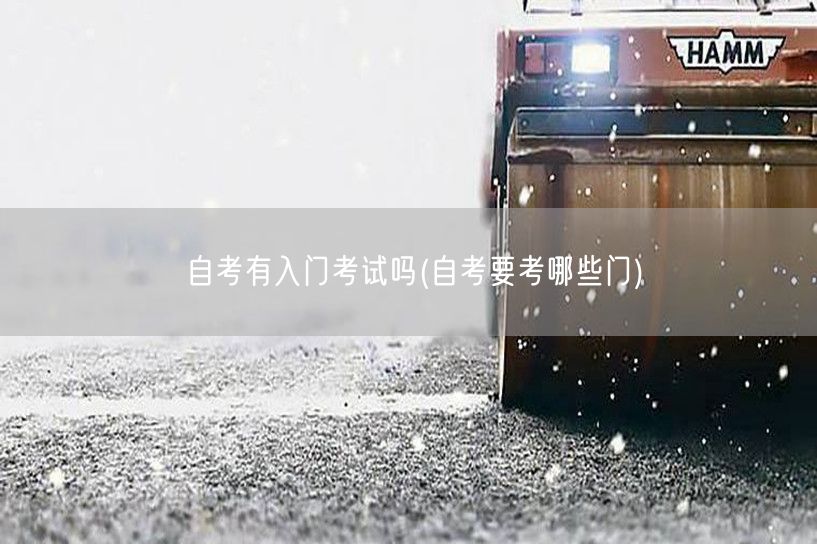 自考有入门考试吗(自考要考哪些门)