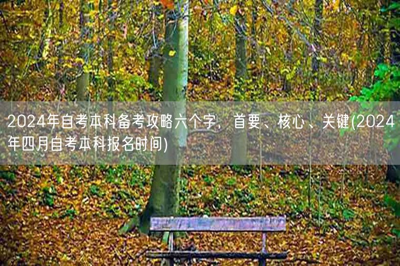 2024年自考本科备考攻略六个字，首要、