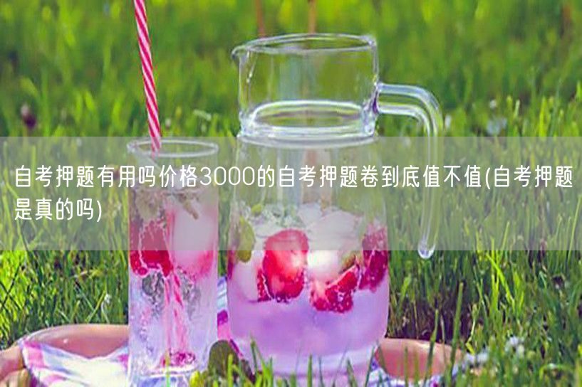 自考押题有用吗价格3000的自考押题卷到