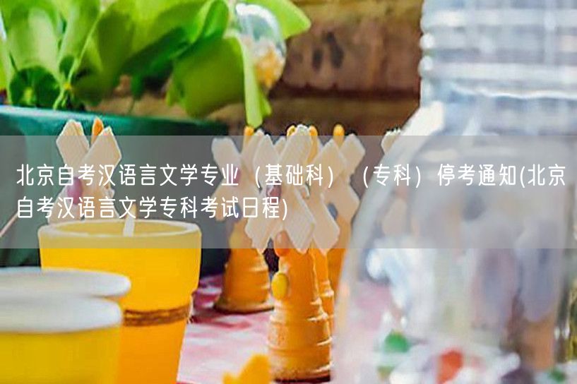 北京自考汉语言文学专业（基础科）（专科）