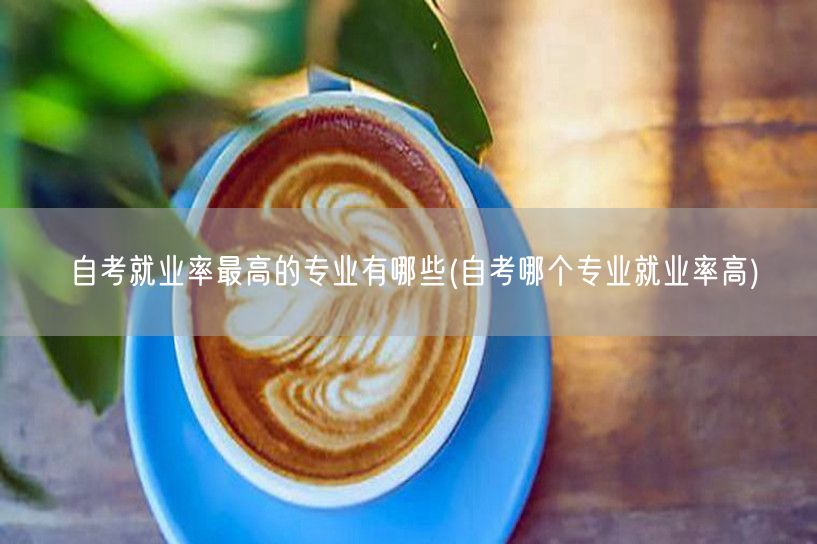 自考就业率最高的专业有哪些(自考哪个专业