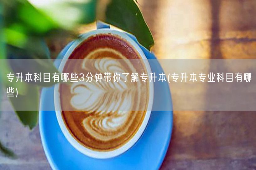 专升本科目有哪些3分钟带你了解专升本(专
