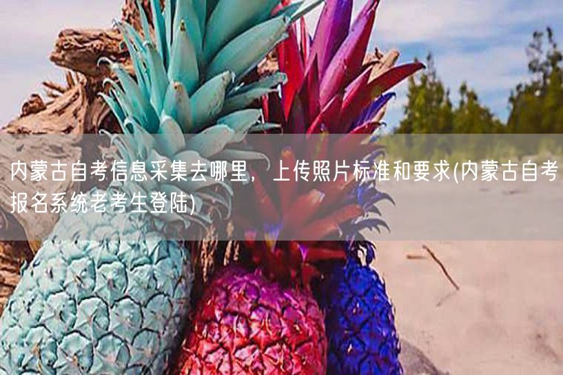 内蒙古自考信息采集去哪里，上传照片标准和