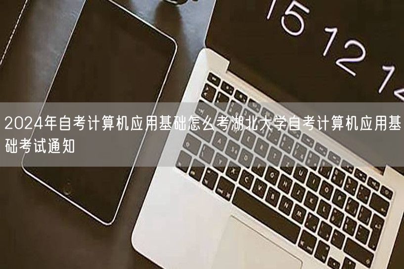 2024年自考计算机应用基础怎么考湖北大