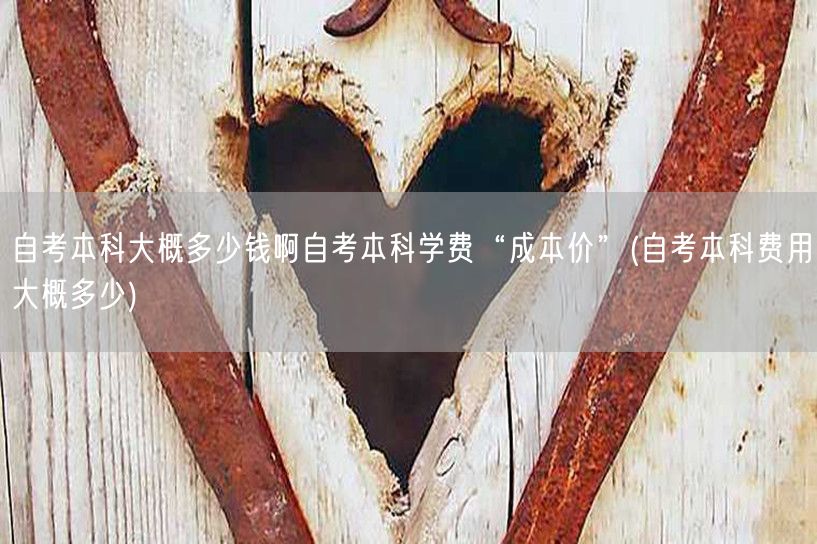 自考本科大概多少钱啊自考本科学费“成本价