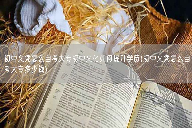 初中文凭怎么自考大专初中文化如何提升学历