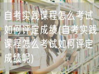 自考实践课程怎么考试如何评定成绩(自考实