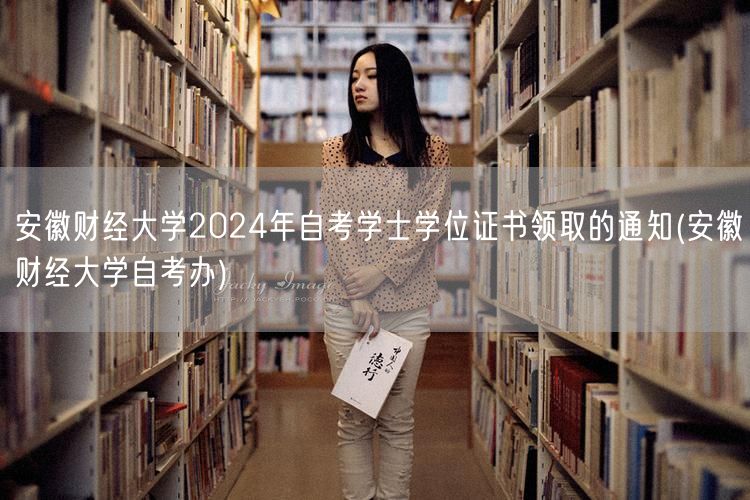 安徽财经大学2024年自考学士学位证书领