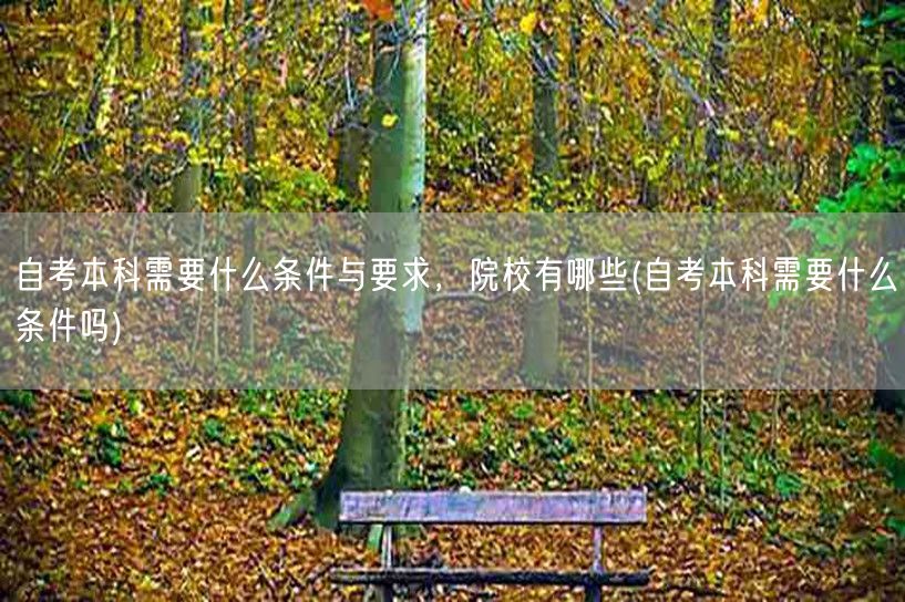 自考本科需要什么条件与要求，院校有哪些(