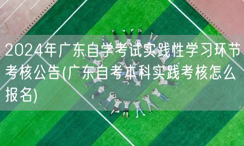 2024年广东自学考试实践性学习环节考核