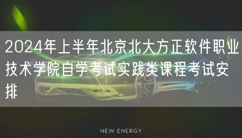 2024年上半年北京北大方正软件职业技术