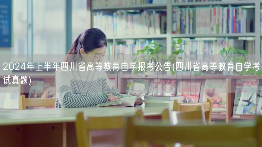 2024年上半年四川省高等教育自学报考公