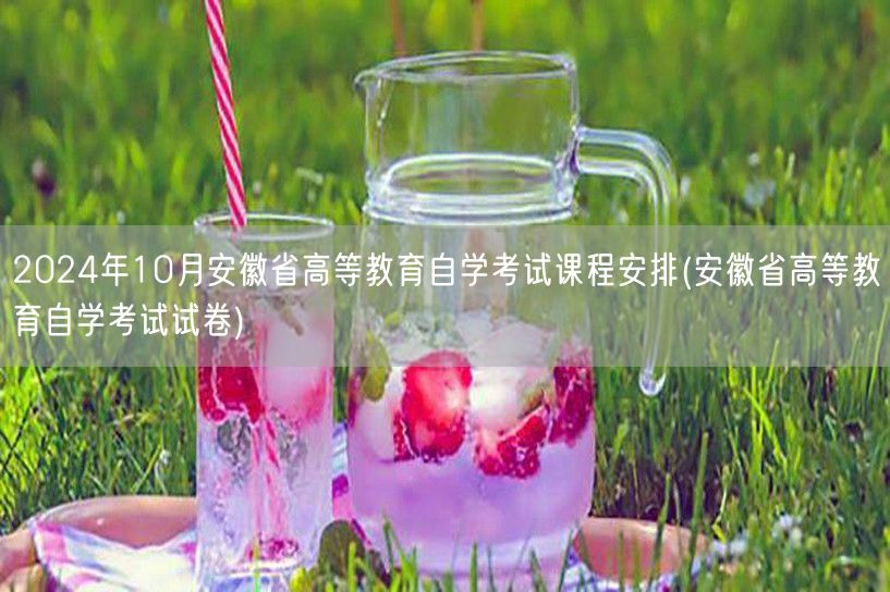 2024年10月安徽省高等教育自学考试课