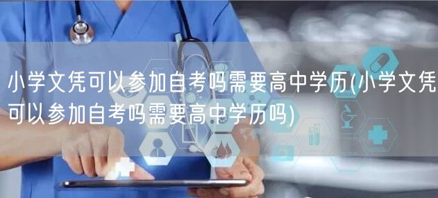 小学文凭可以参加自考吗需要高中学历(小学