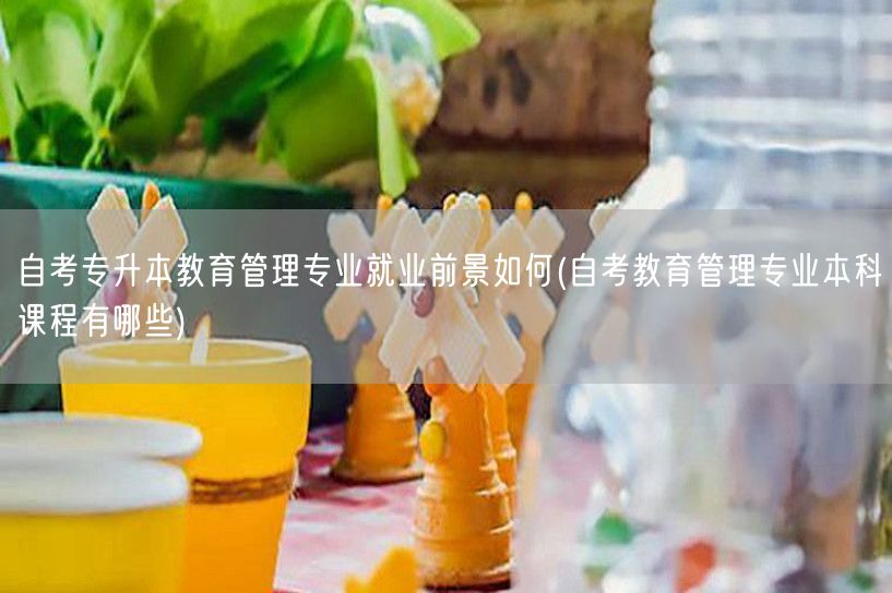 自考专升本教育管理专业就业前景如何(自考