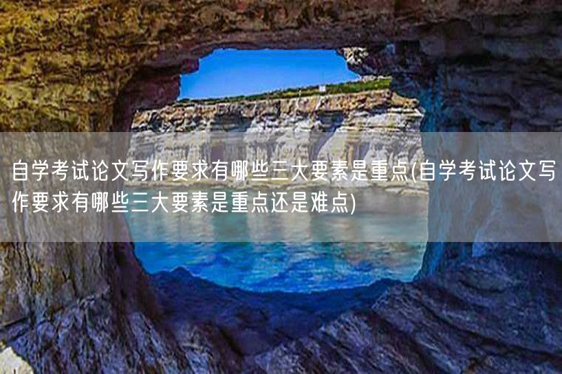 自学考试论文写作要求有哪些三大要素是重点
