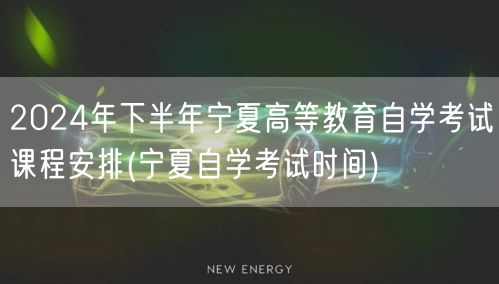 2024年下半年宁夏高等教育自学考试课程