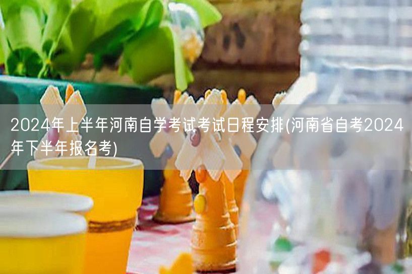 2024年上半年河南自学考试考试日程安排