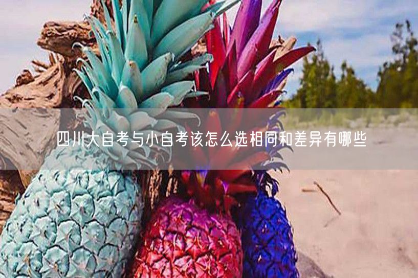 四川大自考与小自考该怎么选相同和差异有哪