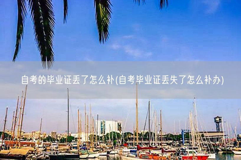 自考的毕业证丢了怎么补(自考毕业证丢失了