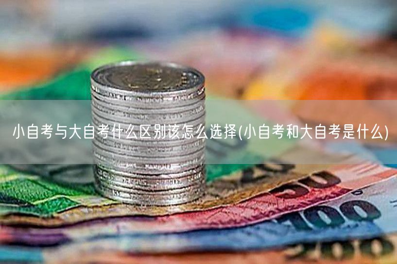 小自考与大自考什么区别该怎么选择(小自考