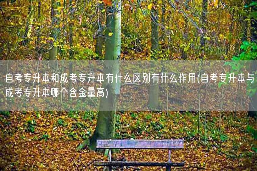 自考专升本和成考专升本有什么区别有什么作