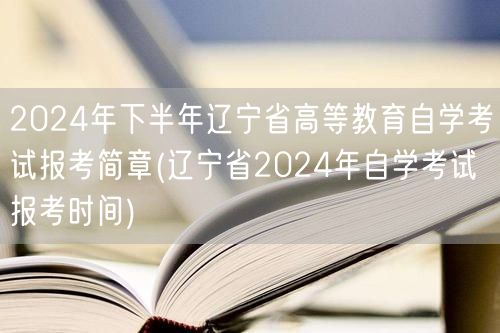 2024年下半年辽宁省高等教育自学考试报