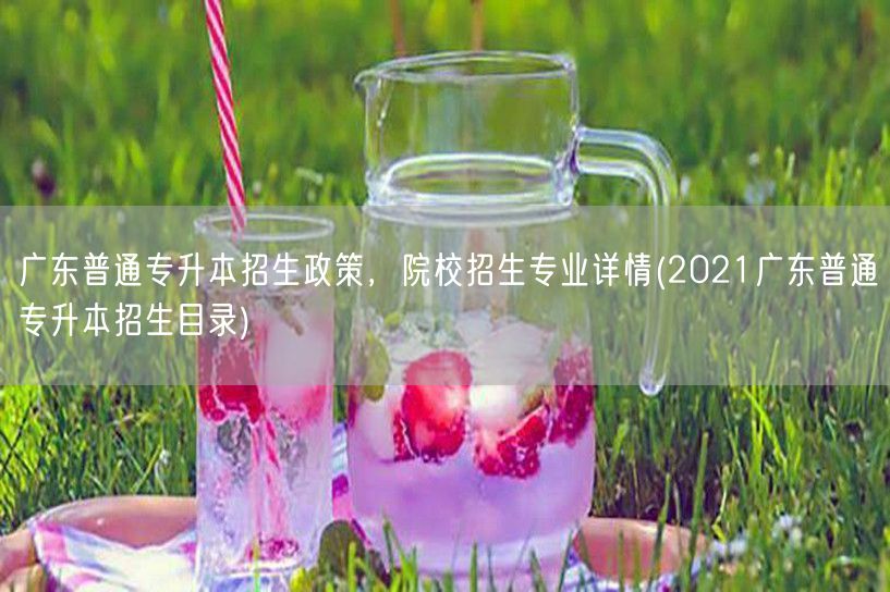 广东普通专升本招生政策，院校招生专业详情