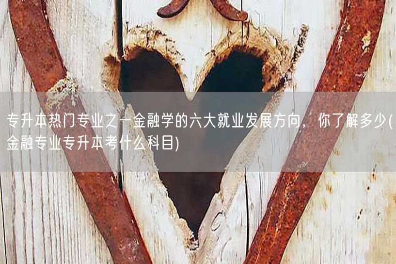 专升本热门专业之一金融学的六大就业发展方