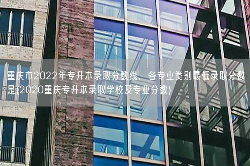 重庆市2022年专升本录取分数线，各专业