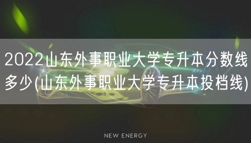2022山东外事职业大学专升本分数线多少