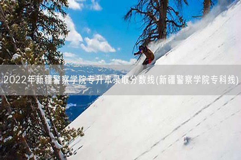 2022年新疆警察学院专升本录取分数线(