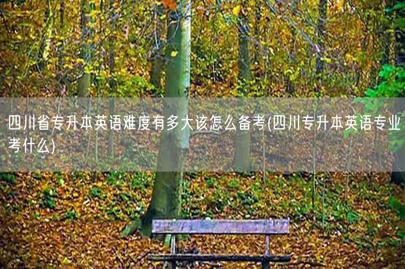 四川省专升本英语难度有多大该怎么备考(四
