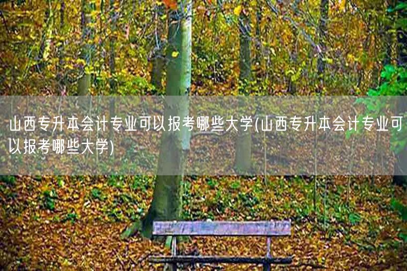 山西专升本会计专业可以报考哪些大学(山西