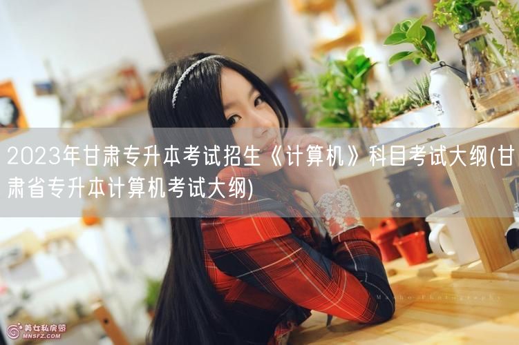 2023年甘肃专升本考试招生《计算机》科