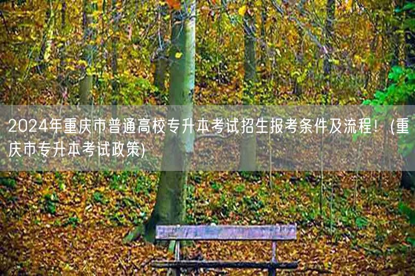 2024年重庆市普通高校专升本考试招生报