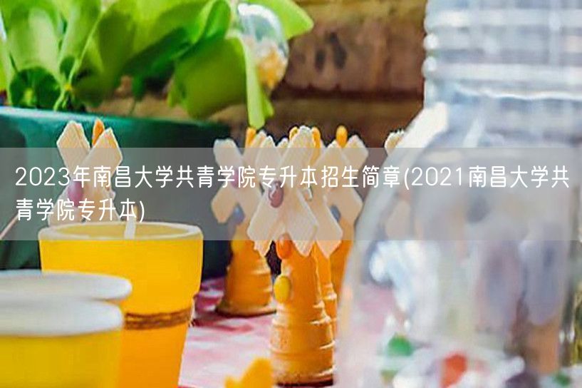 2023年南昌大学共青学院专升本招生简章