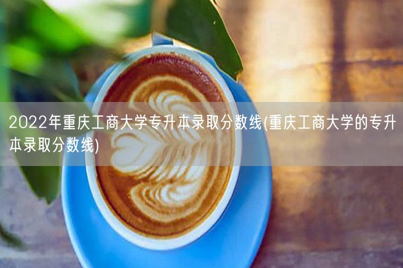 2022年重庆工商大学专升本录取分数线(